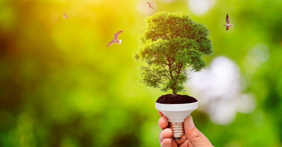 Energy Trading Investment