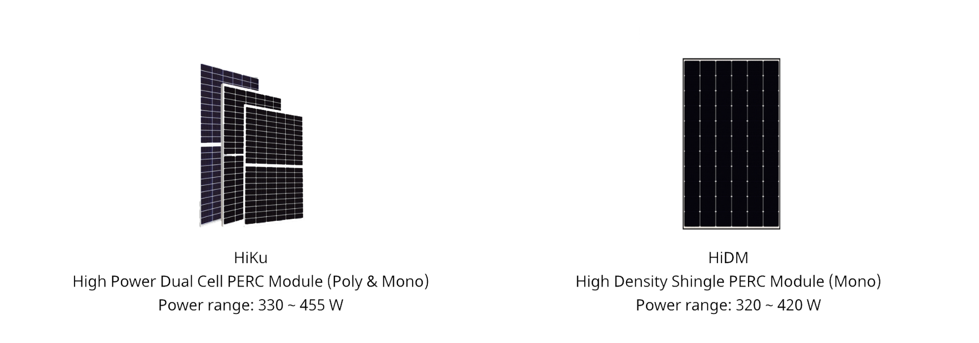 All-Black